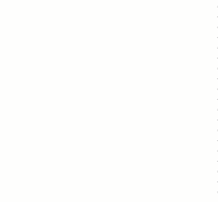 Blank Image